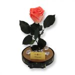 Nagy méretű búrába zárt XL Örök Rózsa / Forever Rose - Bicolor Korall
