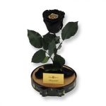 Nagy méretű búrába zárt XL Örök Rózsa / Forever Rose - Bicolor Fekete Arany