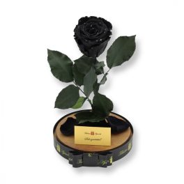   Nagy méretű búrába zárt XL Örök Rózsa / Forever Rose - Fekete Galaxy