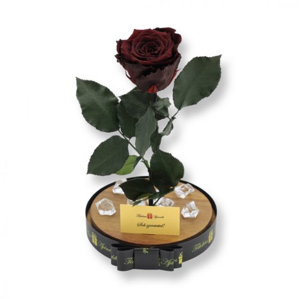 Nagy méretű búrába zárt XL Örök Rózsa / Forever Rose - Chocolate