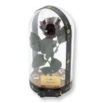 Nagy méretű búrába zárt XL Örök Rózsa / Forever Rose - Chocolate