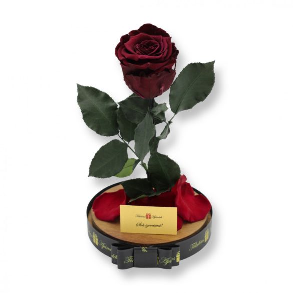 Nagy méretű búrába zárt XL Örök Rózsa / Forever Rose - Burgundy