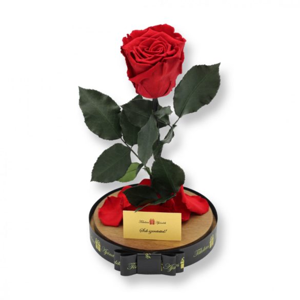Nagy méretű búrába zárt XL Örök Rózsa / Forever Rose - Piros