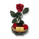 Nagy méretű búrába zárt XL Örök Rózsa / Forever Rose - Piros Galaxy