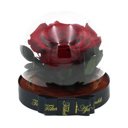   Kis méretű Gömb alakú búrába zárt Örök rózsa / Forever Rose - Vörös