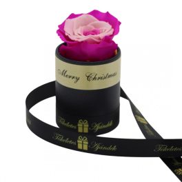   Örök rózsa / Forever rose exkluzív henger díszdobozban - Bicolor Pink / Rózsaszín