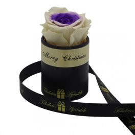   Örök rózsa / Forever rose exkluzív henger díszdobozban - Bicolor Fehér / Lila