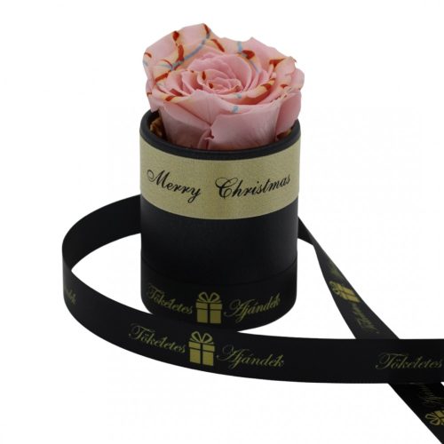 Örök rózsa / Forever rose exkluzív henger díszdobozban - Rózsaszín Festiva