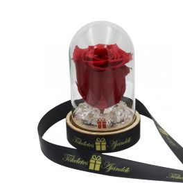   Mini méretű búrába zárt Örök rózsa / Forever Rose - Piros