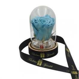   Mini méretű búrába zárt Örök rózsa / Forever Rose - Világoskék