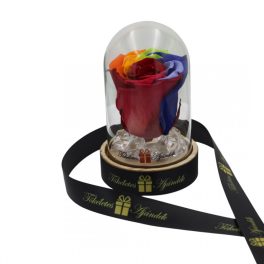   Mini méretű búrába zárt Örök rózsa / Forever Rose - Rainbow