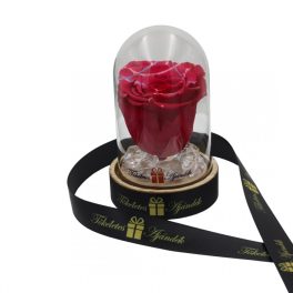   Mini méretű búrába zárt Örök rózsa / Forever Rose - Pink festiva