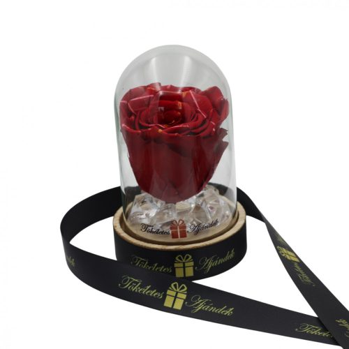 Mini méretű búrába zárt Örök rózsa / Forever Rose - Piros Festiva