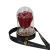 Mini méretű búrába zárt Örök rózsa / Forever Rose - Piros Zebra Effect