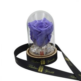   Mini méretű búrába zárt Örök rózsa / Forever Rose - Violet lila