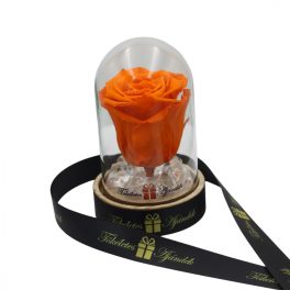   Mini méretű búrába zárt Örök rózsa / Forever Rose - Narancs