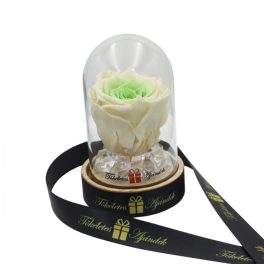   Mini méretű búrába zárt Örök rózsa / Forever Rose - Bicolor fehér / zöld